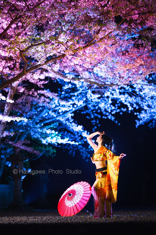 アー写 夜桜